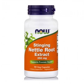 Now Stinging Nettle Root Extract 250mg  90vcaps