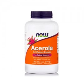 Now  Acerola Extract Powder 170gr