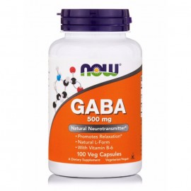 Now GABA 500mg With Vitamin B6 100caps